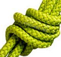 00146 Lime Green