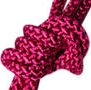 02420 Fuchsia