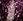 7042 Violet