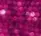 BCSQ08 fuchsia