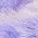 BCF52 purple